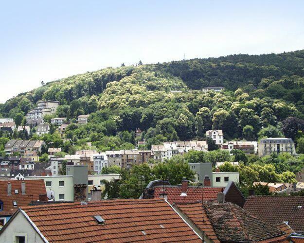 Ferienwohnung Appolonia Neustadt an der Weinstraße Екстериор снимка